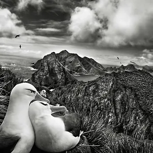 https://les-mouettes-amoureuses.inbrittany.com
